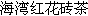 Haiwan Hong Hua Zhuan Cha