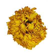 Organic Royal Chrysanthemum