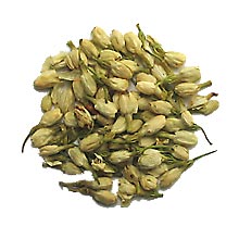 Jasmine Bud